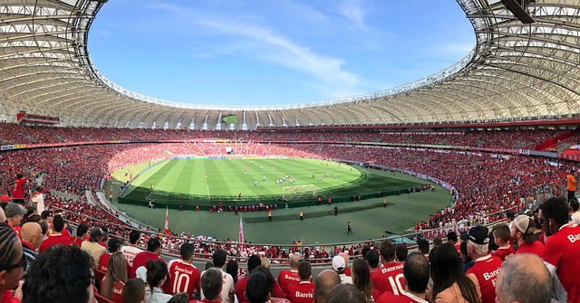 代表韩国队