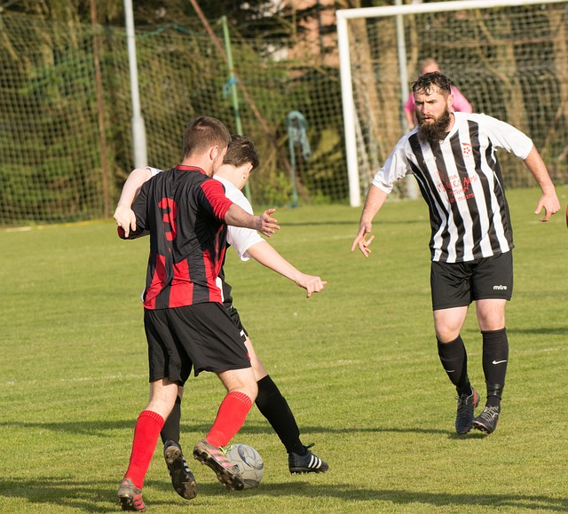 供了丰富的 供了丰富的