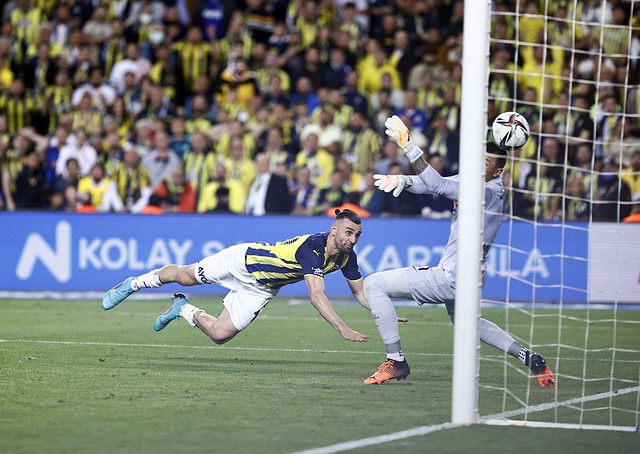 能力备受称 能力备受称