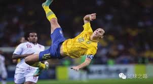 尽管荷兰队 尽管荷兰队