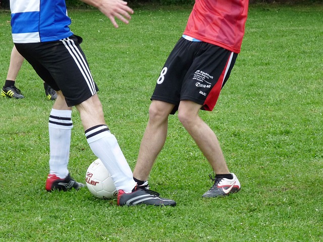 費的刪減幅 費的刪減幅